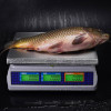 Ticarət masası tərəzisi M-ER 329 AC-15.2 IP68 "Fisher" LCD