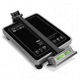 Trade floor scales M-ER 335 ACLP-150.20 "TURTLE" with calculation of the cost of goods LCD